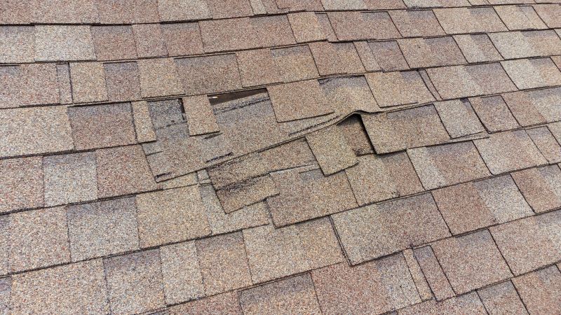 Asphalt Roof Repair