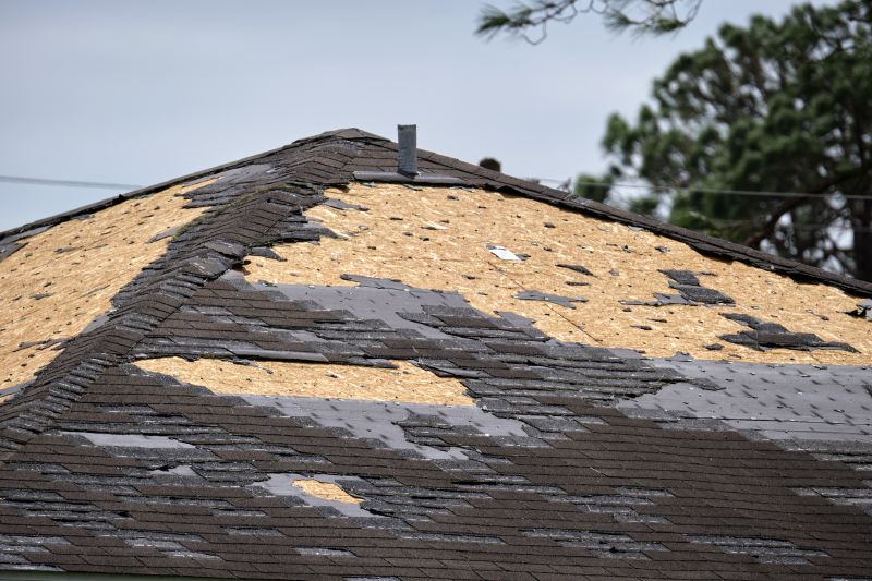 Damaged Roof Replacement detail